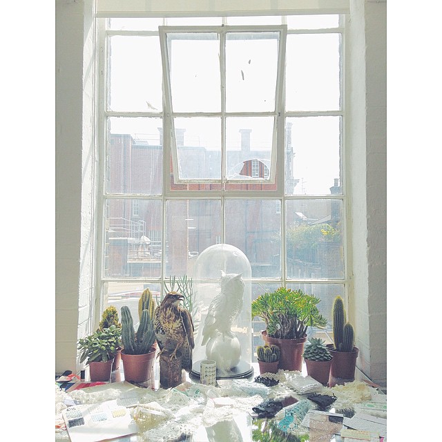 11282292_1611857155724393_1405139675_n