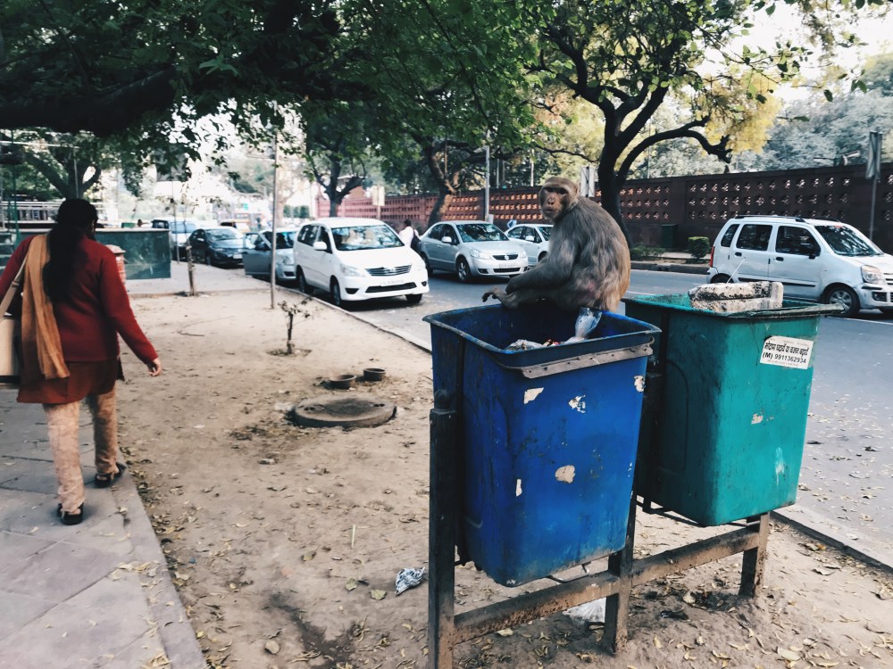 Processed with VSCO with hb2 preset