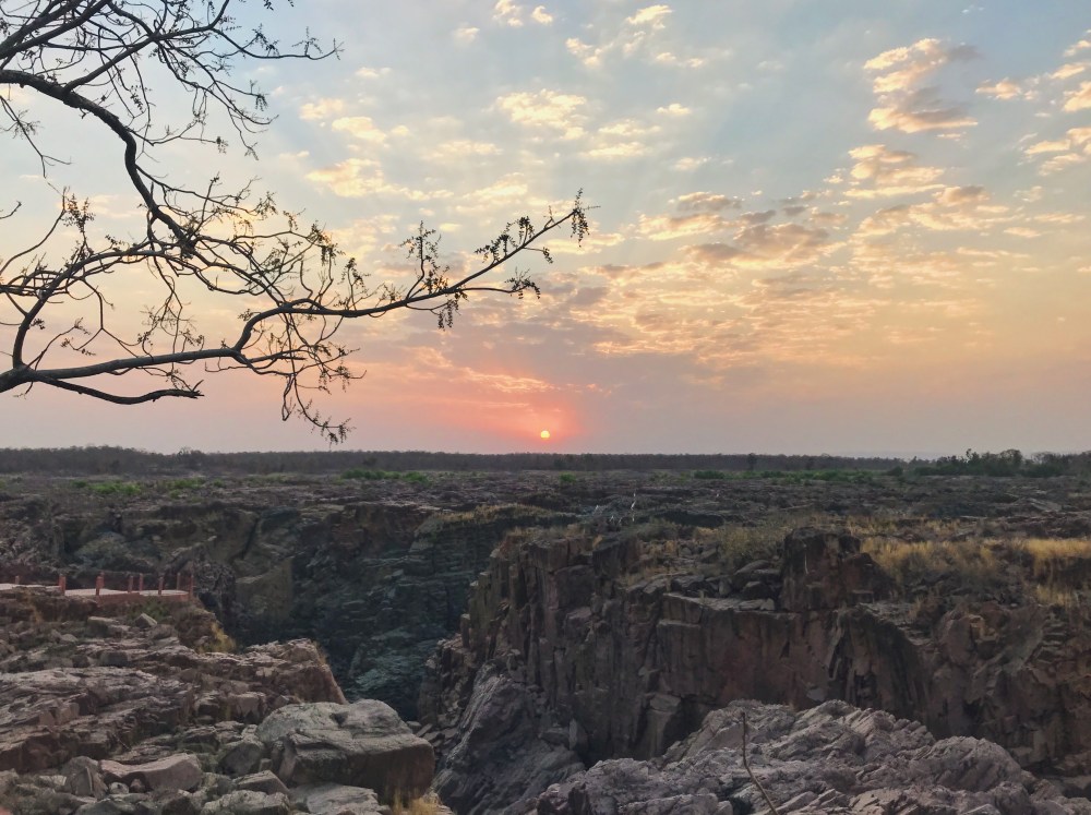 2A4BEC43-30FB-437E-ACEB-89F2F1F60A6F