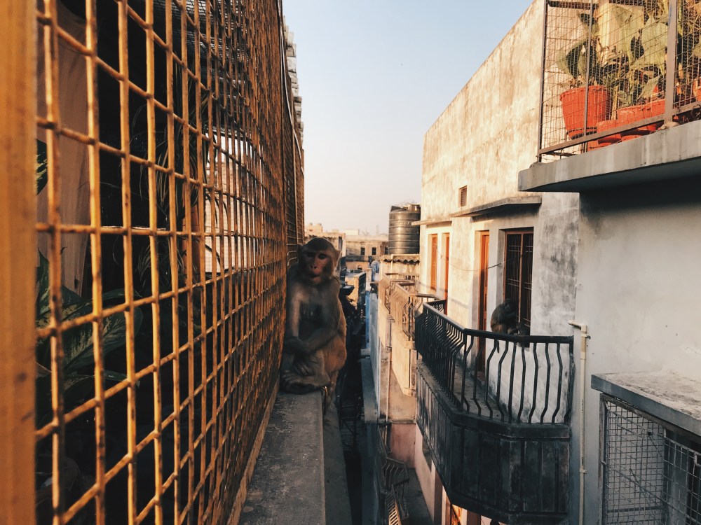 Processed with VSCO with hb2 preset