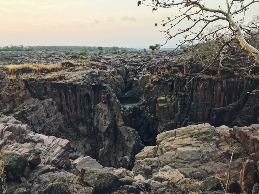 A0EC2AC9-2EA5-4CE7-A954-9D89A0AFAF77