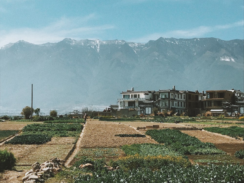 Processed with VSCO with c7 preset Processed with VSCO with a10 preset