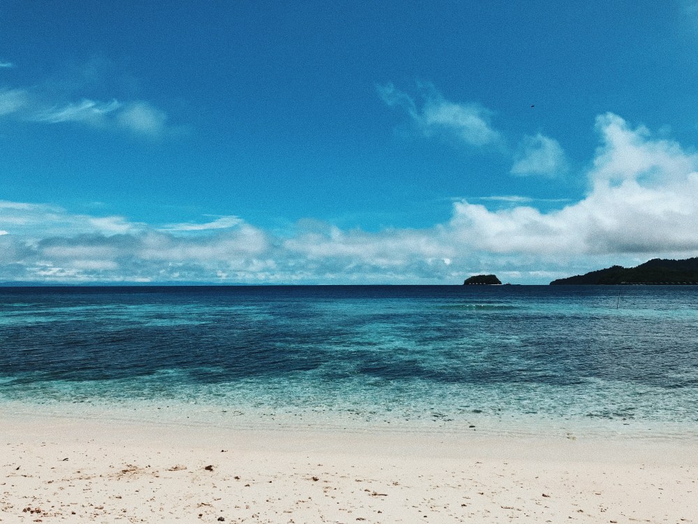 Processed with VSCO with c8 preset